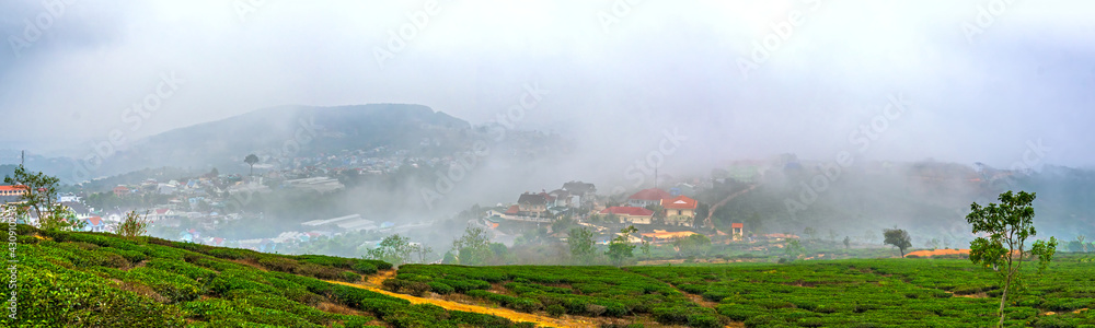 A small town under a tea hill valley in the morning with mist covering in the highlands of Da Lat, Vietnam. The place provides a great deal of tea for the whole country