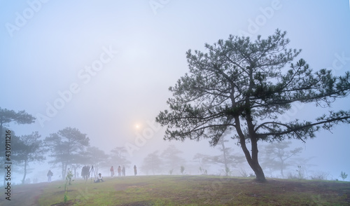 Tourists watching the dawn on a misty morning pine hill on the top of the highlands of Da Lat, Vietnam
