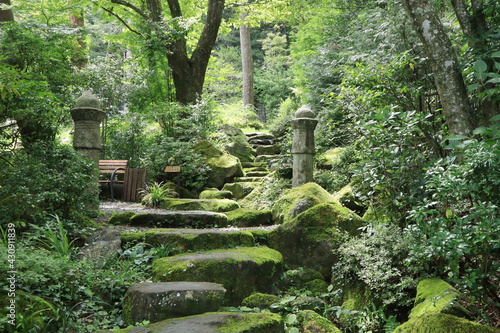 Scenery seen in the Japanese garden,japan,kanagawa