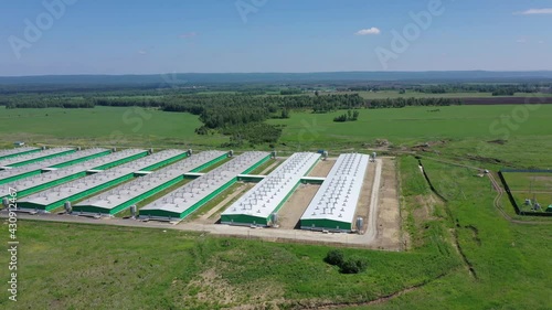 Rural landscape view, pig farm, aerial footage
