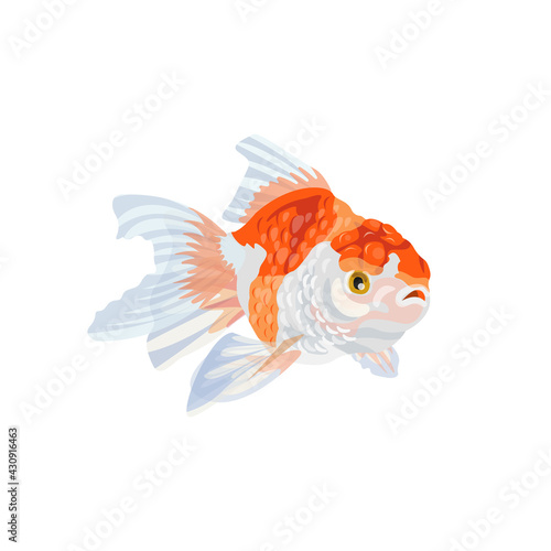 goldfish isolated vector, goldfish illustration.
