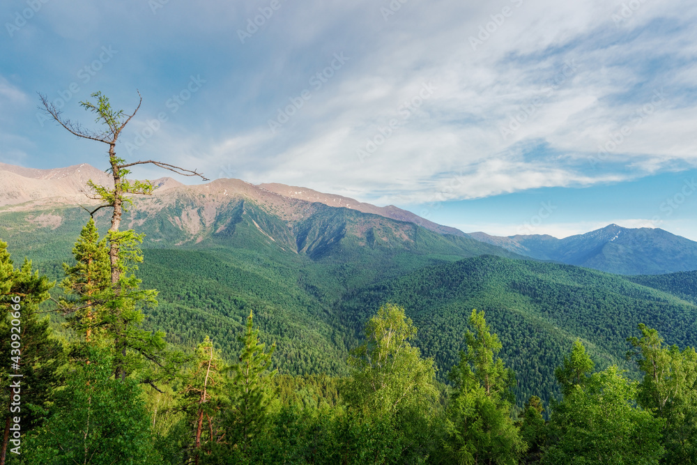 Fototapeta premium View of the Borus mountain and the summer forest in the Borus park. Trees, high mountain Borus in the mountains of Khakassia near the Yenisei River