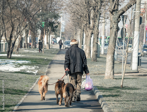 Homeless man with three stray dogs and bags with food walking on the sidewalk, in Bucharest Romania © Cristi