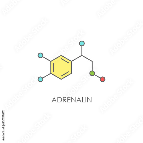 Adrenalin molecula structure. colorful line icon isolated on white background.