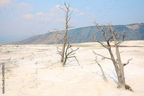 Yellowstone National Park in Wyoming, USA