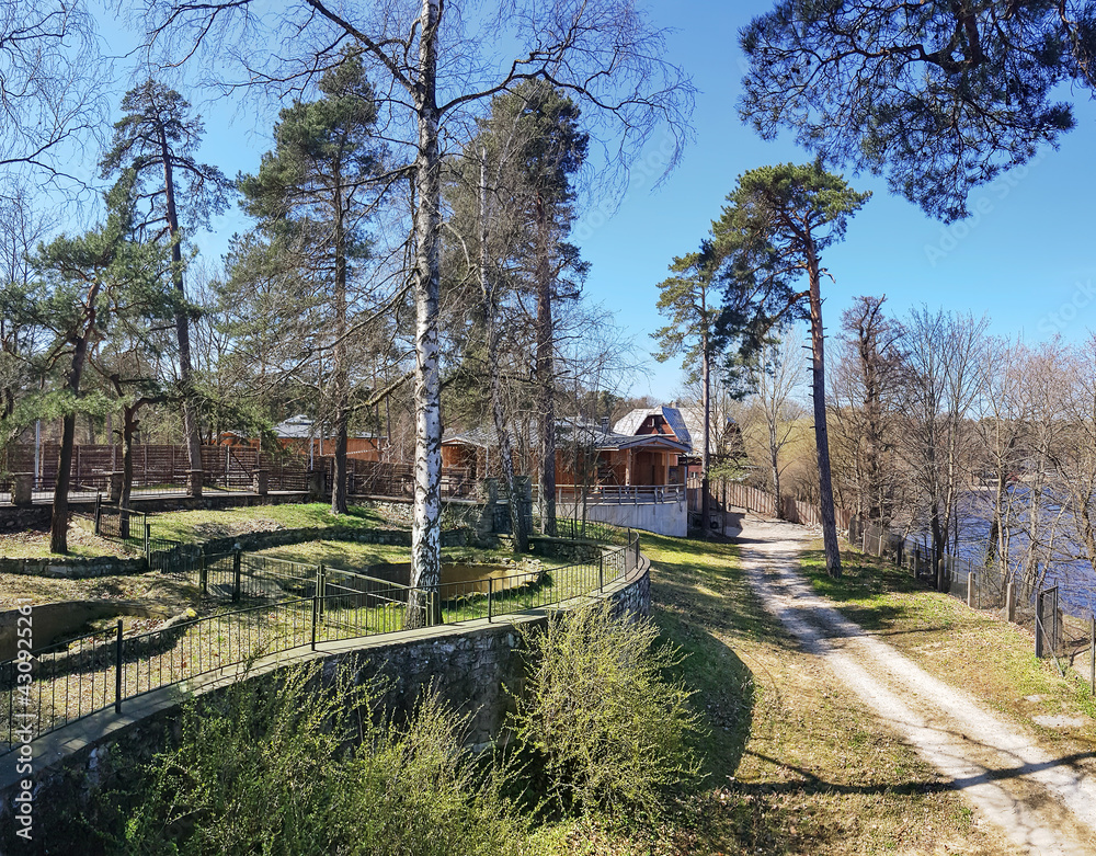 Green terraced coast with pine and birch trees near Kisezers lake in Riga, Latvia