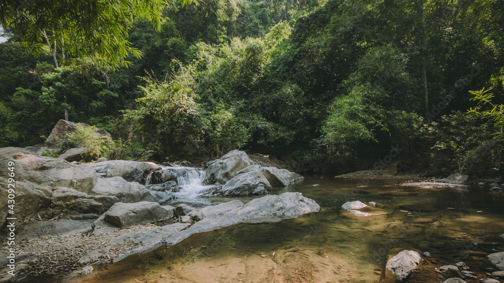 The river runs through the middle of the valley in the forest.
The river runs through the middle of the valley in the forest.