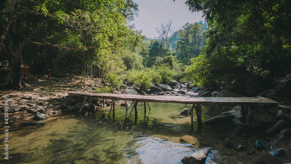 The river runs through the middle of the valley in the forest. The river runs through the middle of the valley in the forest.