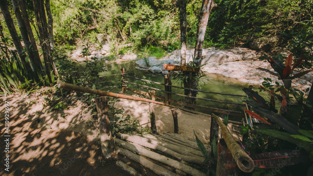 The river runs through the middle of the valley in the forest. The river runs through the middle of the valley in the forest.