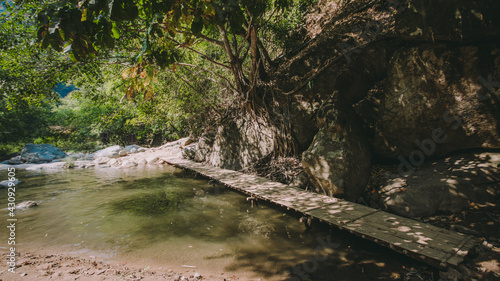 The river runs through the middle of the valley in the forest. 