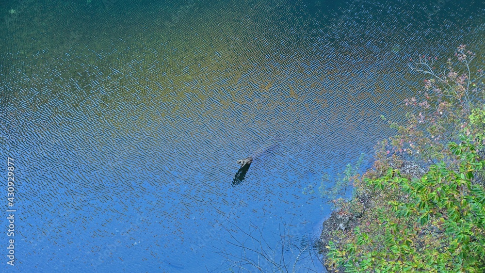 遊歩道から見た抱返り渓谷の情景@秋田 遊歩道から見た抱返り渓谷の情景@秋田