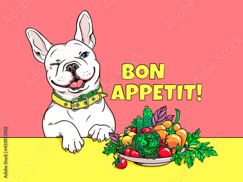 Cute cartoon french bulldog near a plate with different vegetables. A dog that loves healthy food. Bon appetit illustration	