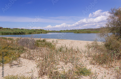 The “Litorale di Ugento” Regional Nature Park in Apulia (Italy) boasts sandy beaches, wetlands behind the dunes, marshes, areas of woodland and Mediterranean scrub. photo