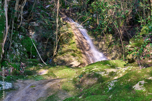 Water cascade in a wood in Recco  Liguria  Italy
