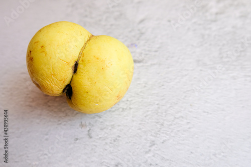 An ugly organic fruit-an oddly shaped yellow Apple on a gray background. Horizontal orientation. Buying imperfect foods is a way to deal with food waste. Copy space..
