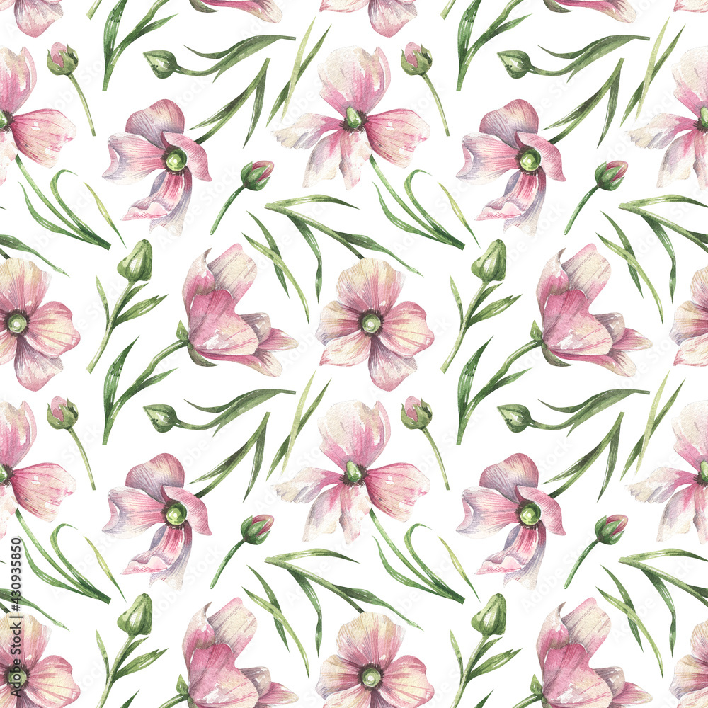 Botanical pink floral seamless pattern. Watercolor romatic flowers on a white background. Fresh tender design for invitation, wedding or greeting cards, textiles, wrapping paper