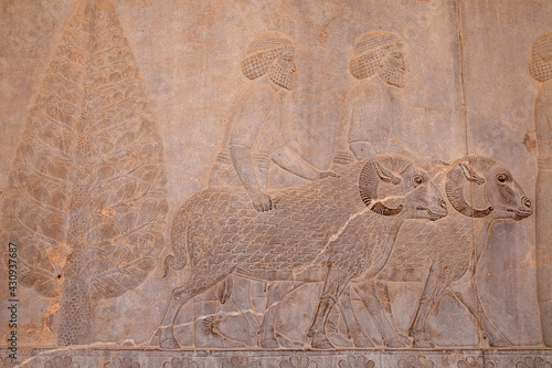 Persepolis, Apadana-Treppenhausfassade, Antikes Relief der Achämeniden, in Shiraz