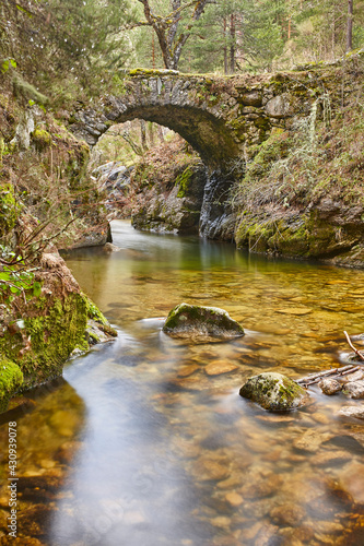 Принти на полотні Green forest and creek. Angostura antique stone bridge in Madrid.