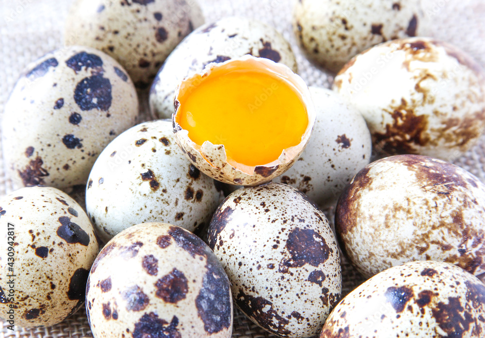 Fresh quail eggs on the rustic background. Raw egg yolk closeup. Concept healthy food. Fresh quail eggs on the rustic background. Raw egg yolk closeup. Concept healthy food.
