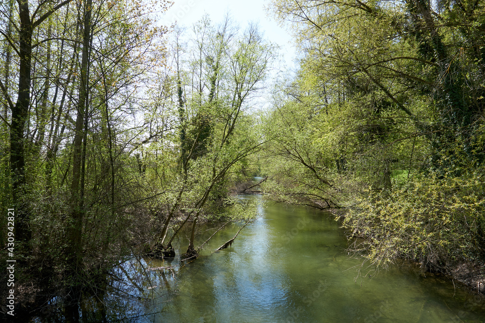 small river tributary of the rhine with crystal clear water in sunshine under a blue sky small river tributary of the rhine with crystal clear water in sunshine under a blue sky