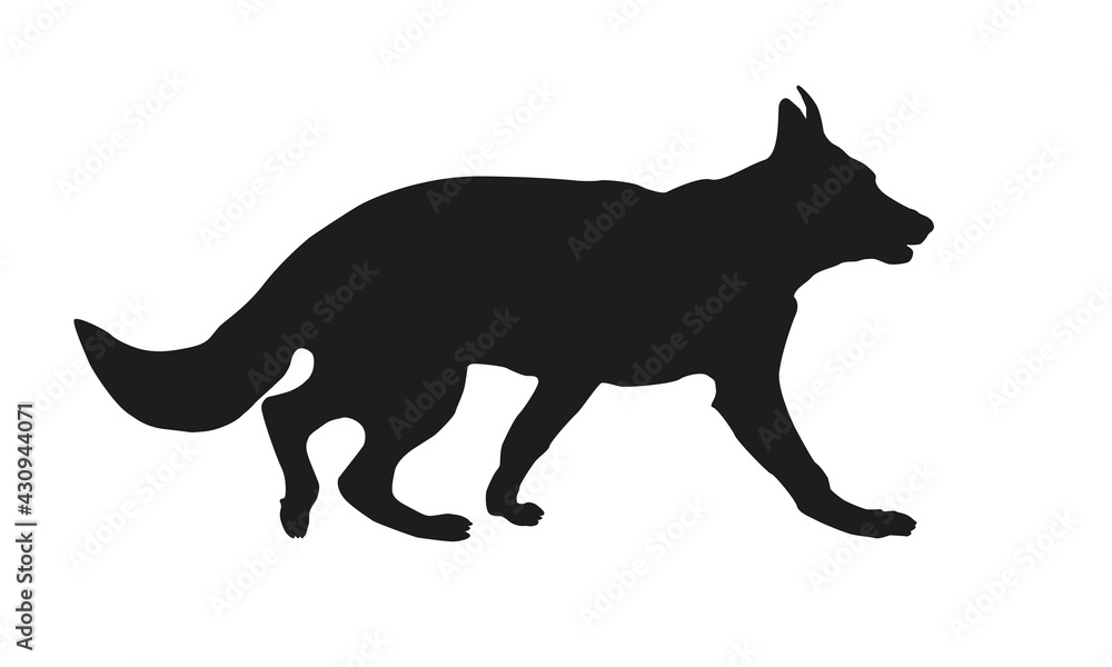 Running german shepherd dog puppy. Black dog silhouette. Isolated on a white background.
