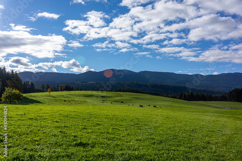 Landscape with Grassy Fields, Mountains, and Clouds © Danielle