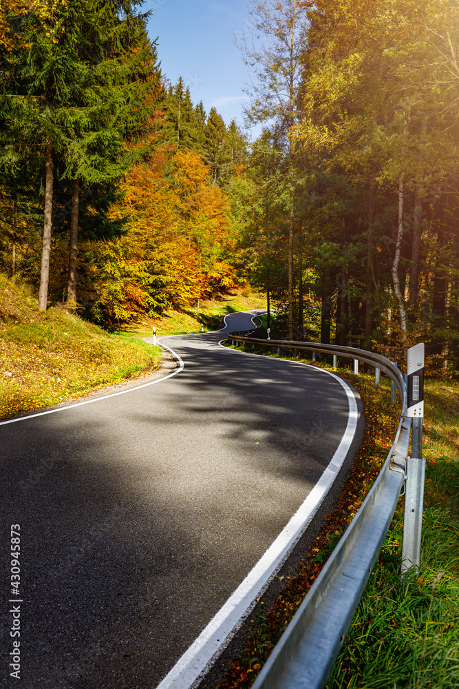 Fototapeta premium Straße durch den herbstlichen Wald, Bäume, goldener Herbst