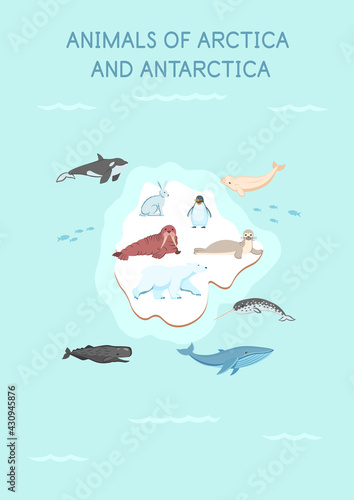 Animals of the arctica and antarctica map: penguin, hare, whale, seal, killer whale, polar bear, walrus, sperm whale, narwhal, beluga whale on a white background.Flat cartoon illustration for kids.