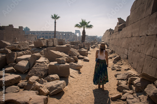 Obraz na płótnie viajando en egipto w salonie