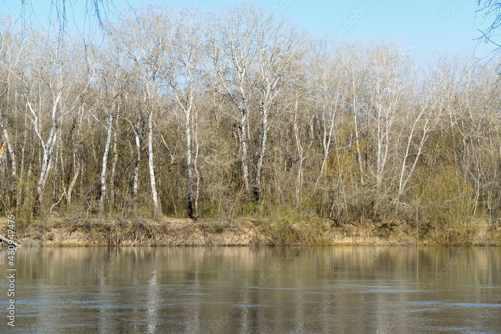 beautiful spring landscape - forest and river on a bright sunny day beautiful spring landscape - forest and river on a bright sunny day