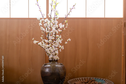 障子と桜 photo