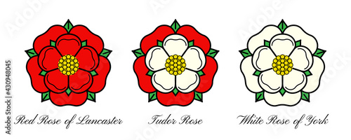 Tudoe rose of Englnd vector illustration. photo