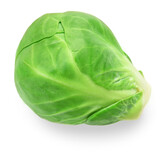 Brussel Sprout isolated on white background.  Top view. Fresh raw  brussel cabbage