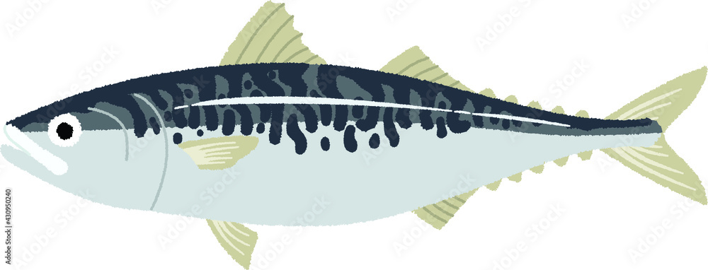 サバのイラスト Stock Vector Adobe Stock