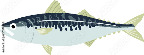 サバのイラスト