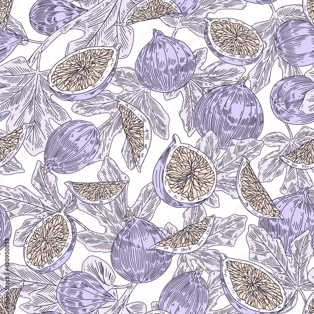 Seamless pattern with tropical fresh fig fruits and leaves on white ...