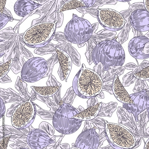 Seamless pattern with tropical fresh fig fruits and leaves on white background. Endless repeatable texture for printing and decoration. Colored hand-drawn vector illustration in vintage style
