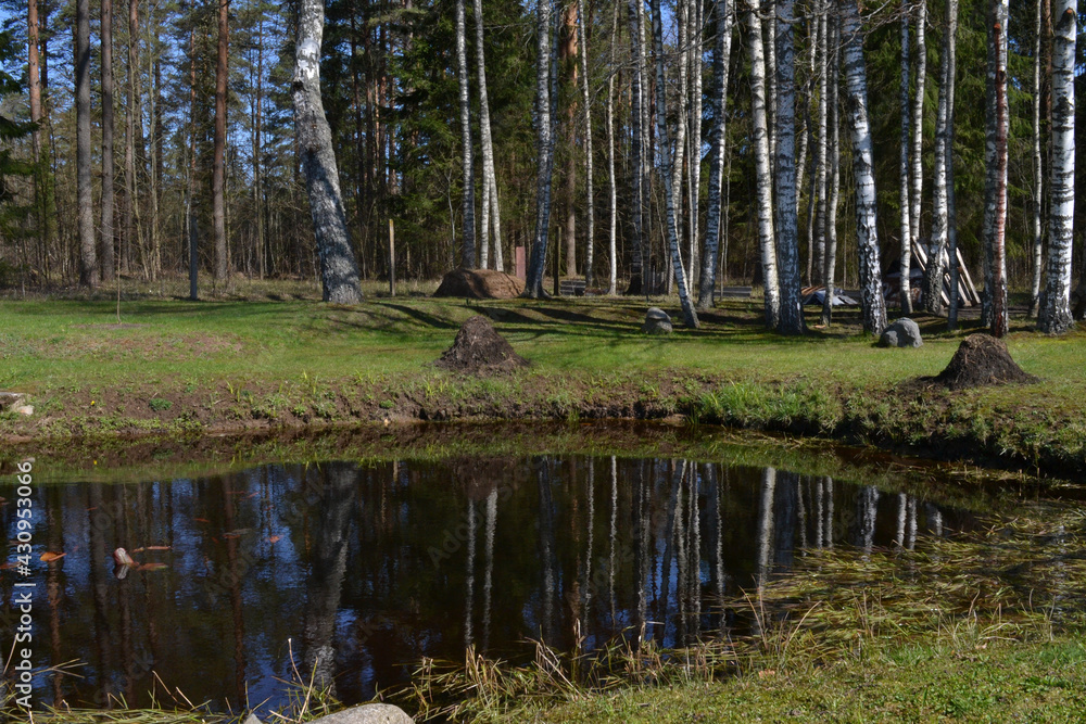 pond in a recreation area in the woods with red herbs on a warm summer day. pond in a recreation area in the woods with red herbs on a warm summer day.