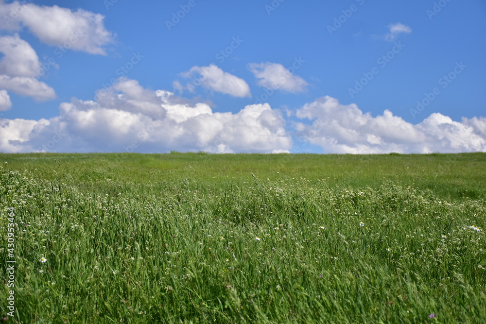 Green field and brown forest in a cloudy and sunny day