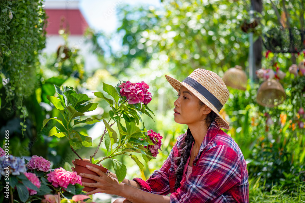 Young Asian woman caring for plants in a small garden . Holding a potted white hydrangea plant watering flower pots. Sitting on knees in the walkway between plants. Lifestyle joy happy freedom day.