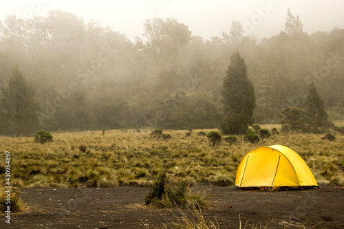 Camping in the Forest