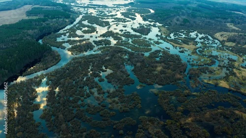 Spring flood, overflow of a large river from a bird's eye view. Full-flowing river Berezina, Belarus. Flooded fields and bushes. High water on the river, river bends.