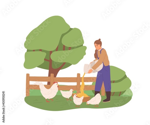 Female farmer feeding chickens, pouring corns, grains and seeds for hens into trough on farm. Woman working in nature. Colored flat vector illustration of domestic poultry isolated on white background