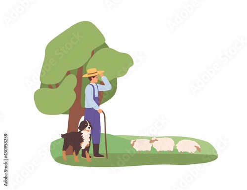 Shepherd and his herding dog grazing sheep flock on grass. Herdsman watching for domestic ewes. Farm animals on pasture. Colored flat vector illustration of pastureland isolated on white background