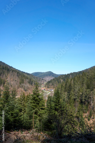 mountain panorama shot in black forest with sunshine under blue sky