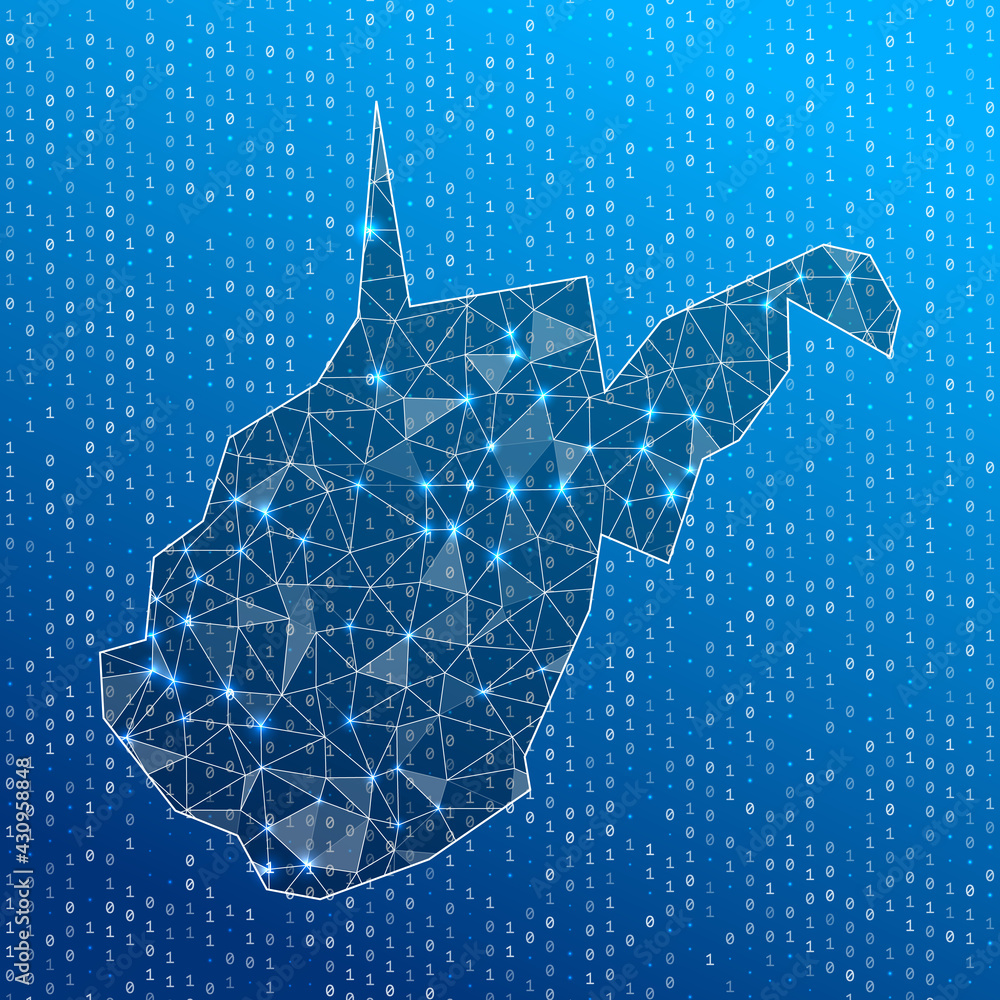 Obraz premium Network map of West Virginia. US state digital connections map. Technology, internet, network, telecommunication concept. Vector illustration.