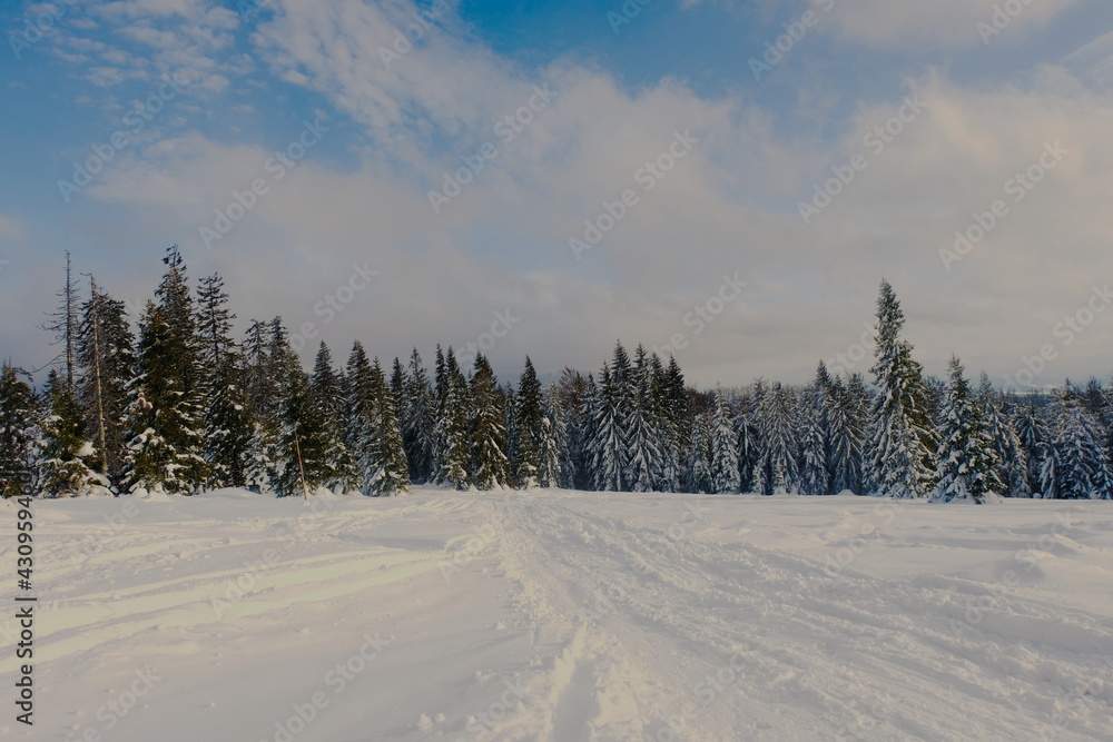 Winter in the mountains, mountain road covered with snow.
