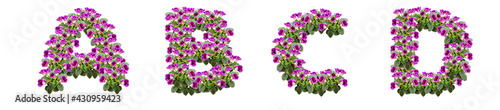 The letters A, B, C, D are made of purple flowers and leaves