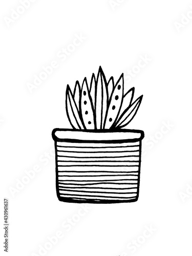 french fries illustration