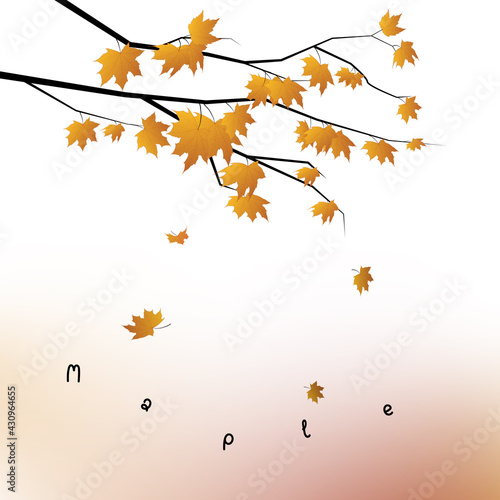 Orange maple leaves are starting to fall lonely. Vector drawing.